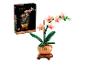 Miniatúrna orchidea z kociek s produktovou krabicou.