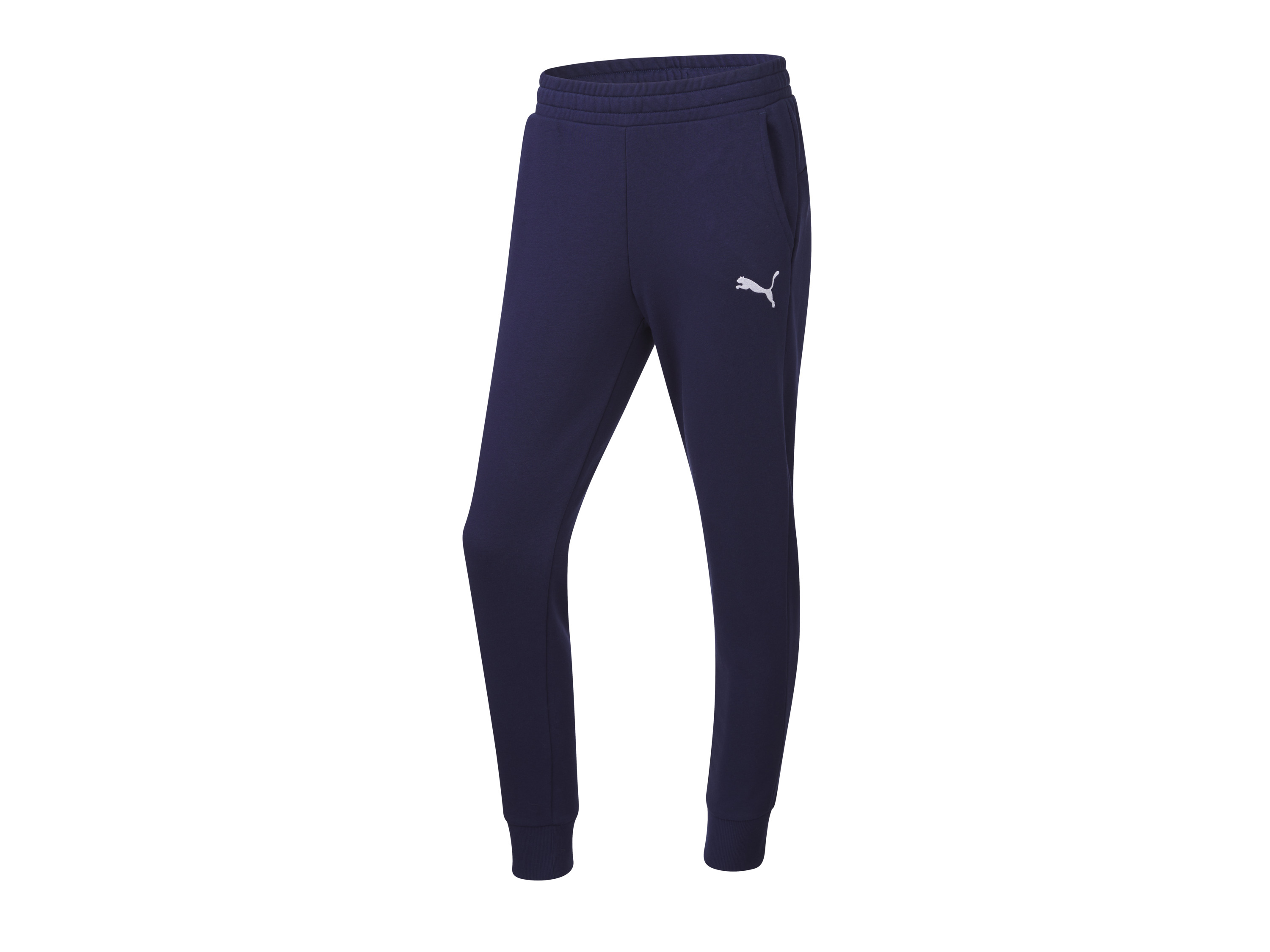 Puma Pánske tepláky teamGOAL 23 Casuals (navy modrá, L (52/54))