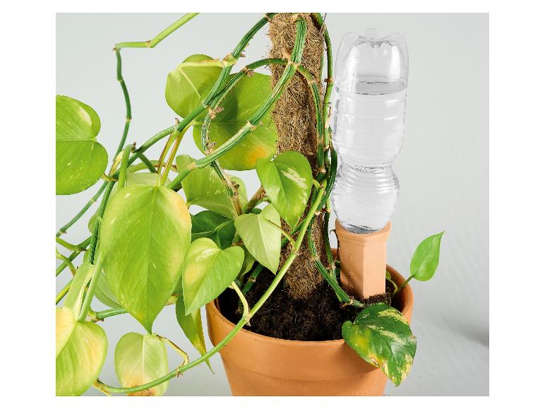 Automatické zavlažovanie: rastlina v terakotovom črepníku s fľašou vody.