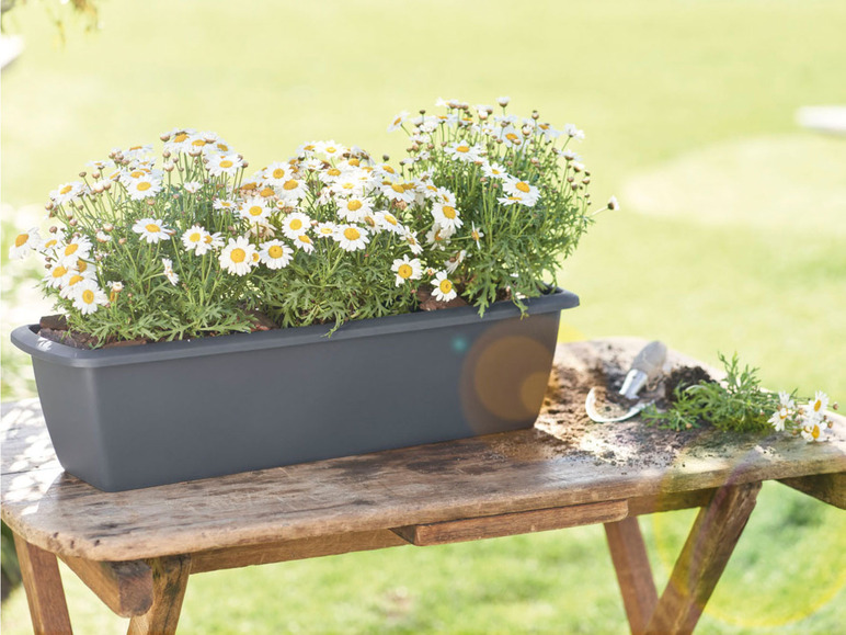 Prejsť na zobrazenie na celú obrazovku: PARKSIDE® Kvetináč na balkón, 60 cm – obrázok 7