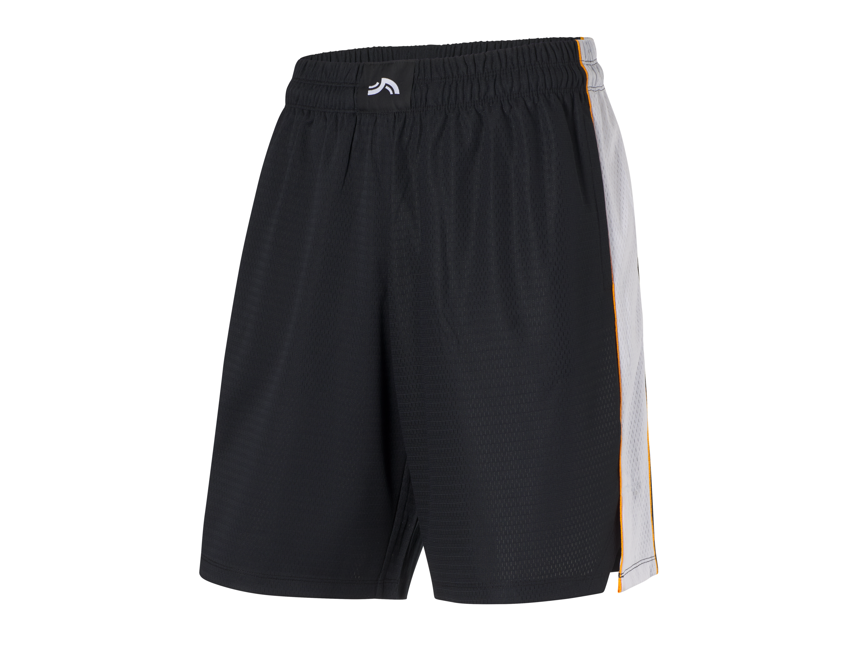 CRIVIT Pánske funkčné basketbalové šortky (čierna, M (48/50))
