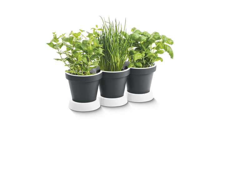 Prejsť na zobrazenie na celú obrazovku: PARKSIDE® Trojitý kvetináč na bylinky – obrázok 3