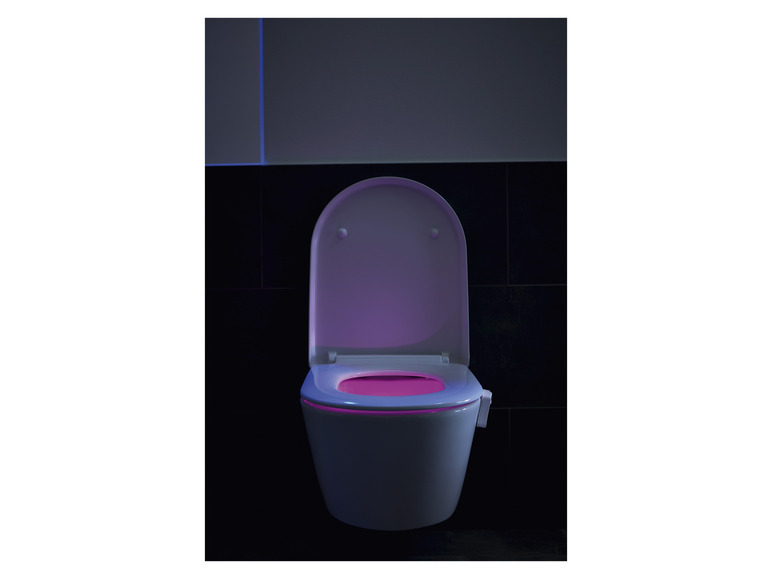 Prejsť na zobrazenie na celú obrazovku: LIVARNO home LED svetlo na WC – obrázok 11