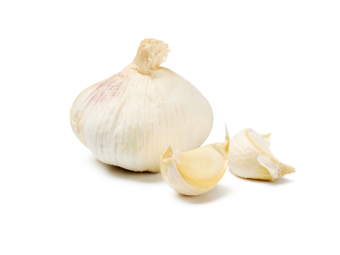 Cesnak