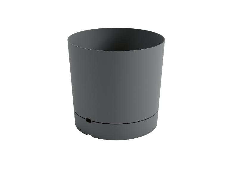 Tmavosivý kvetináč, minimalistický dizajn.