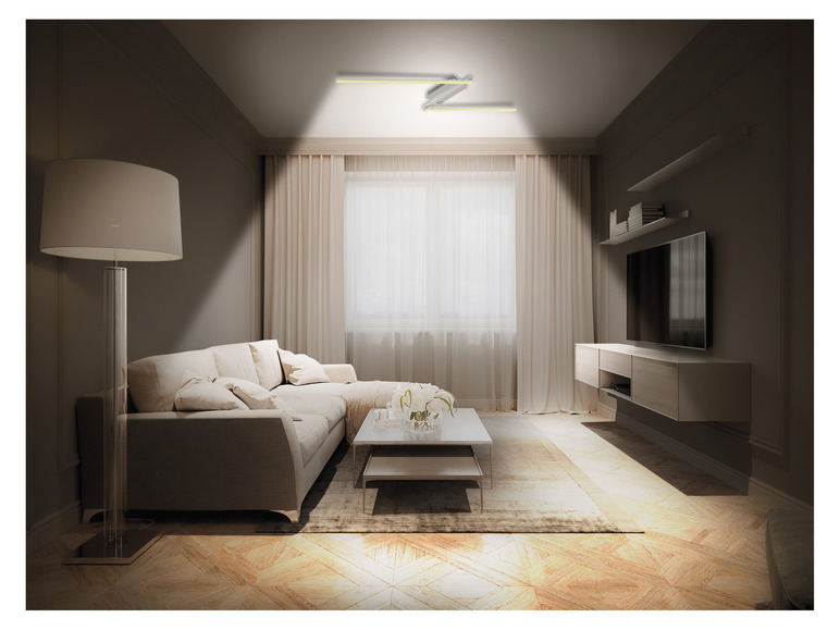 Prejsť na zobrazenie na celú obrazovku: LIVARNO home Stropné LED svietidlo – obrázok 16