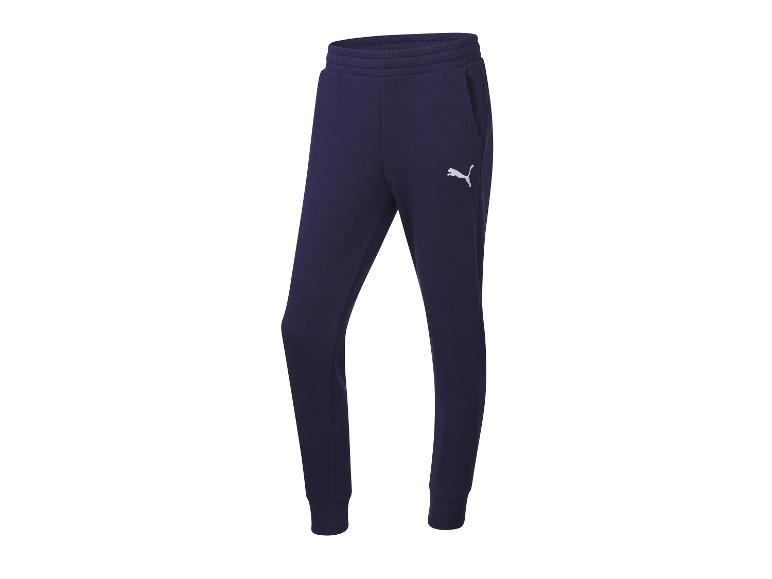 Puma Pánske tepláky teamGOAL 23 Casuals (navy modrá, M (48/50))
