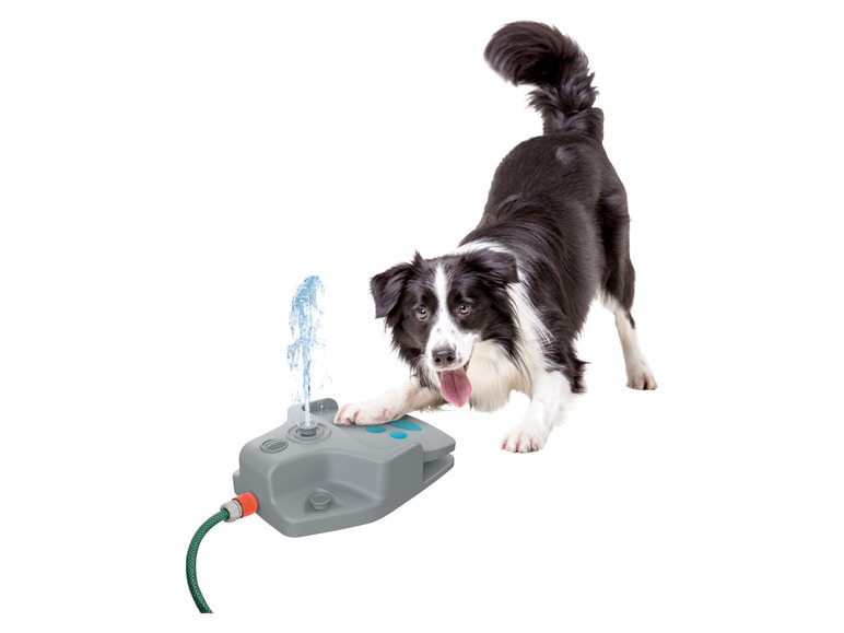 Prejsť na zobrazenie na celú obrazovku: zoofari® Vodná fontána pre psy – obrázok 1