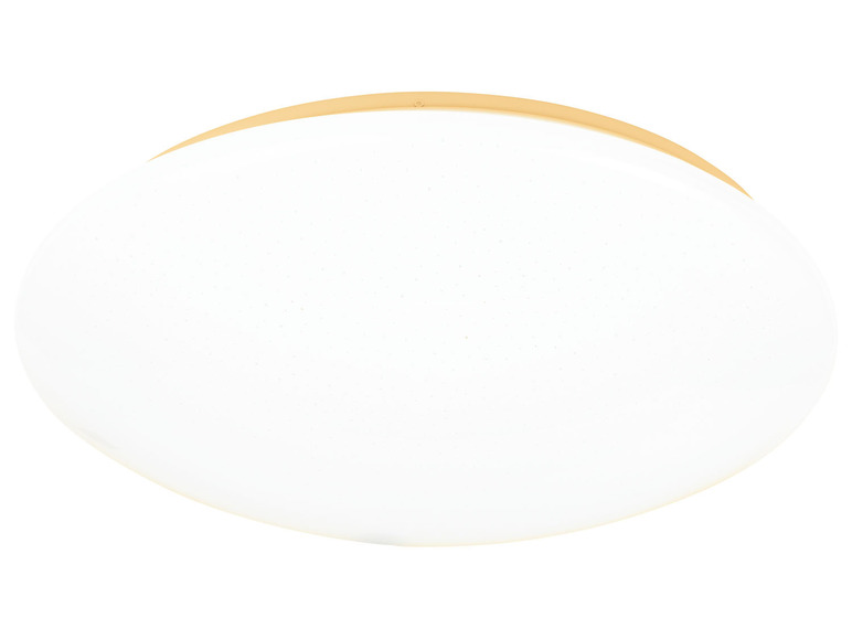 Prejsť na zobrazenie na celú obrazovku: LIVARNO home Stropné LED svietidlo – obrázok 9