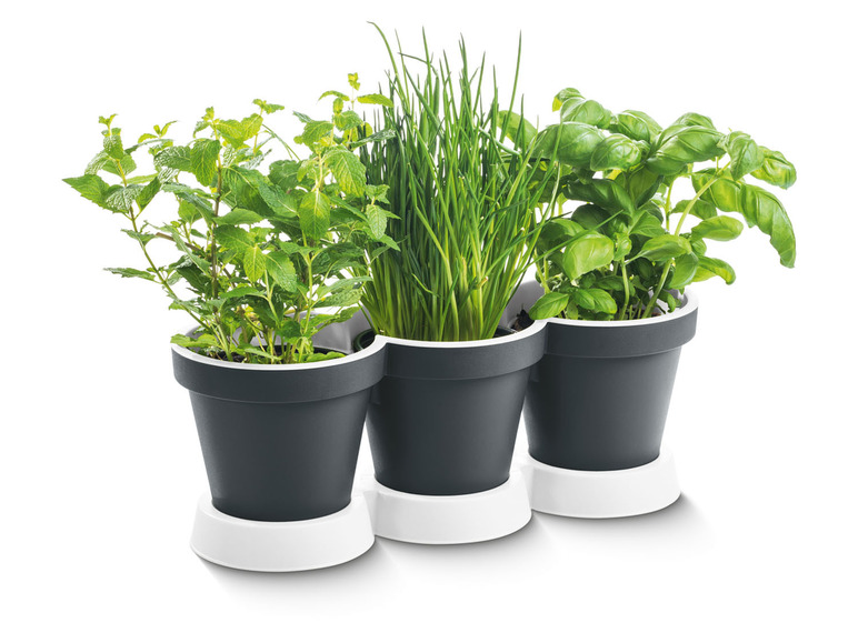 Prejsť na zobrazenie na celú obrazovku: PARKSIDE® Trojitý kvetináč na bylinky – obrázok 3