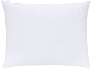 LIVARNO® Vankúš s výplňou z peria a páperia, 90 x 70 cm