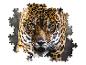 Blízky záber jaguára v puzzle.