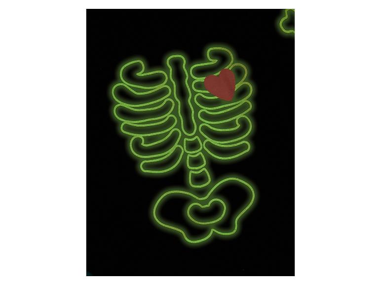 lupilu® Dievčenské pyžamo s halloweenskym motívom (čierna, 110/116)