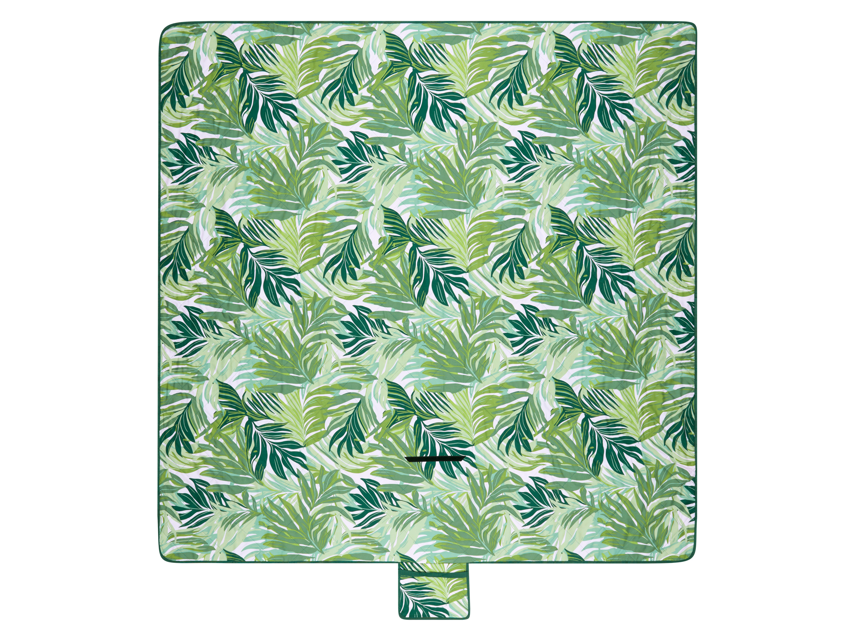 LIVARNO® Outdoorová deka, 200 x 200 cm (zelená)