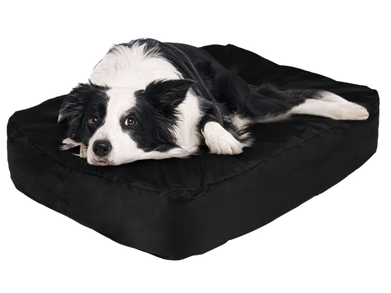 Prejsť na zobrazenie na celú obrazovku: Zoofari Nafukovacia posteľ pre psa – obrázok 1