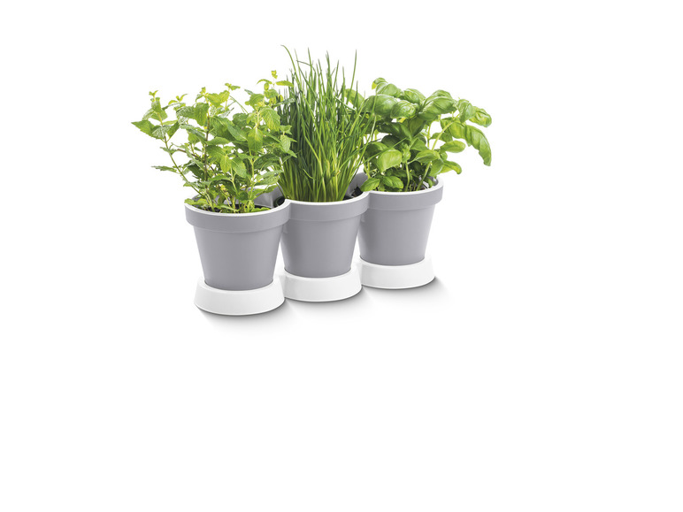 Prejsť na zobrazenie na celú obrazovku: PARKSIDE® Trojitý kvetináč na bylinky – obrázok 7