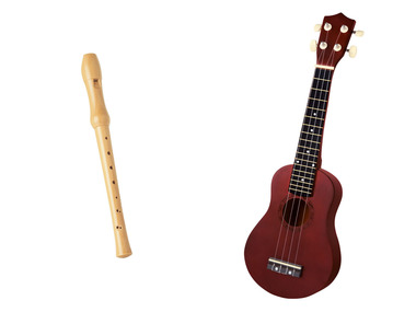 Hudobný nástroj, flauta/ukulele