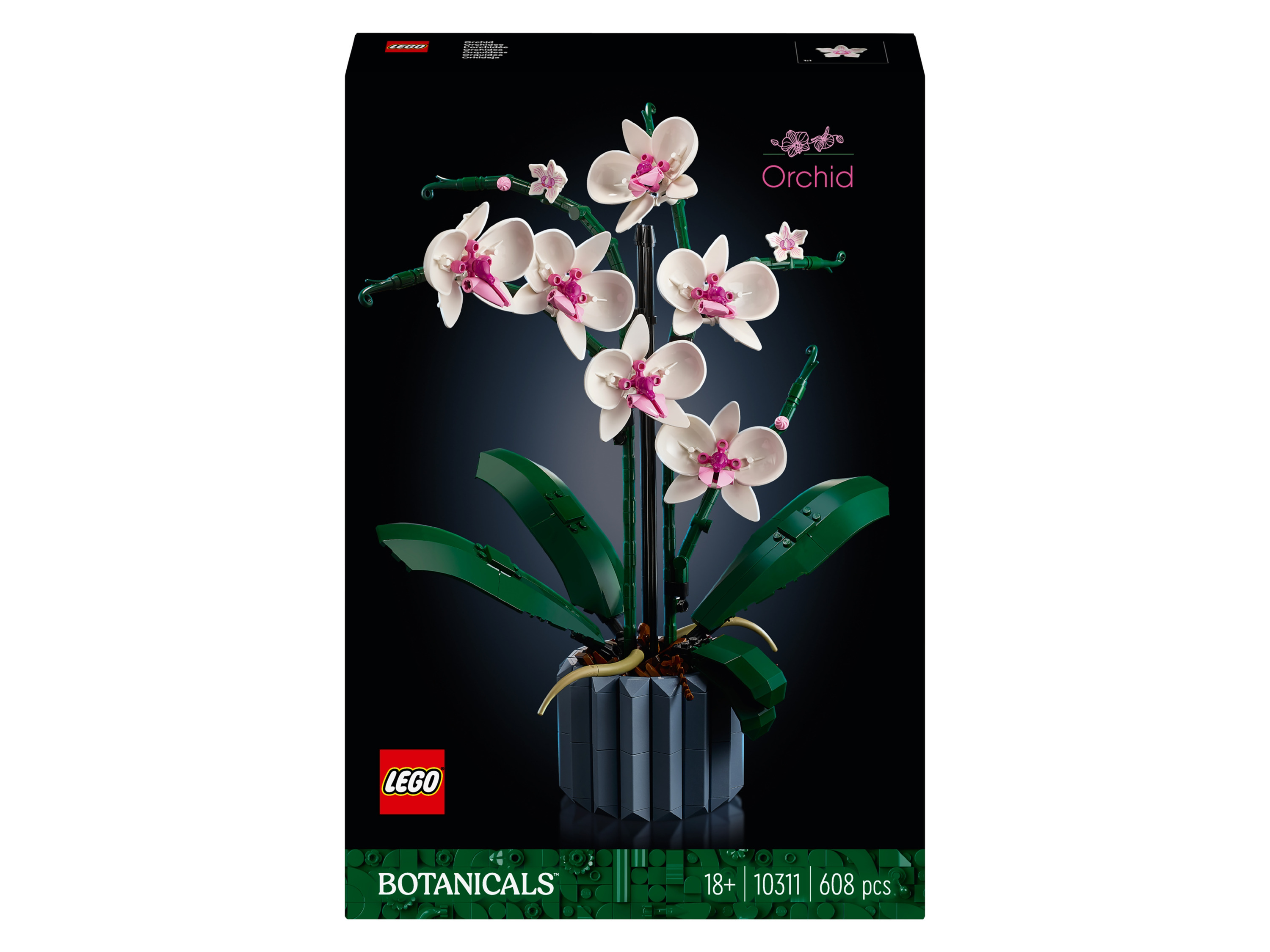 LEGO 10311 Orchidea