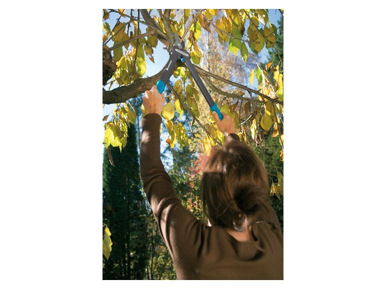 Žena prerezáva strom záhradnými nožnicami Gardena.