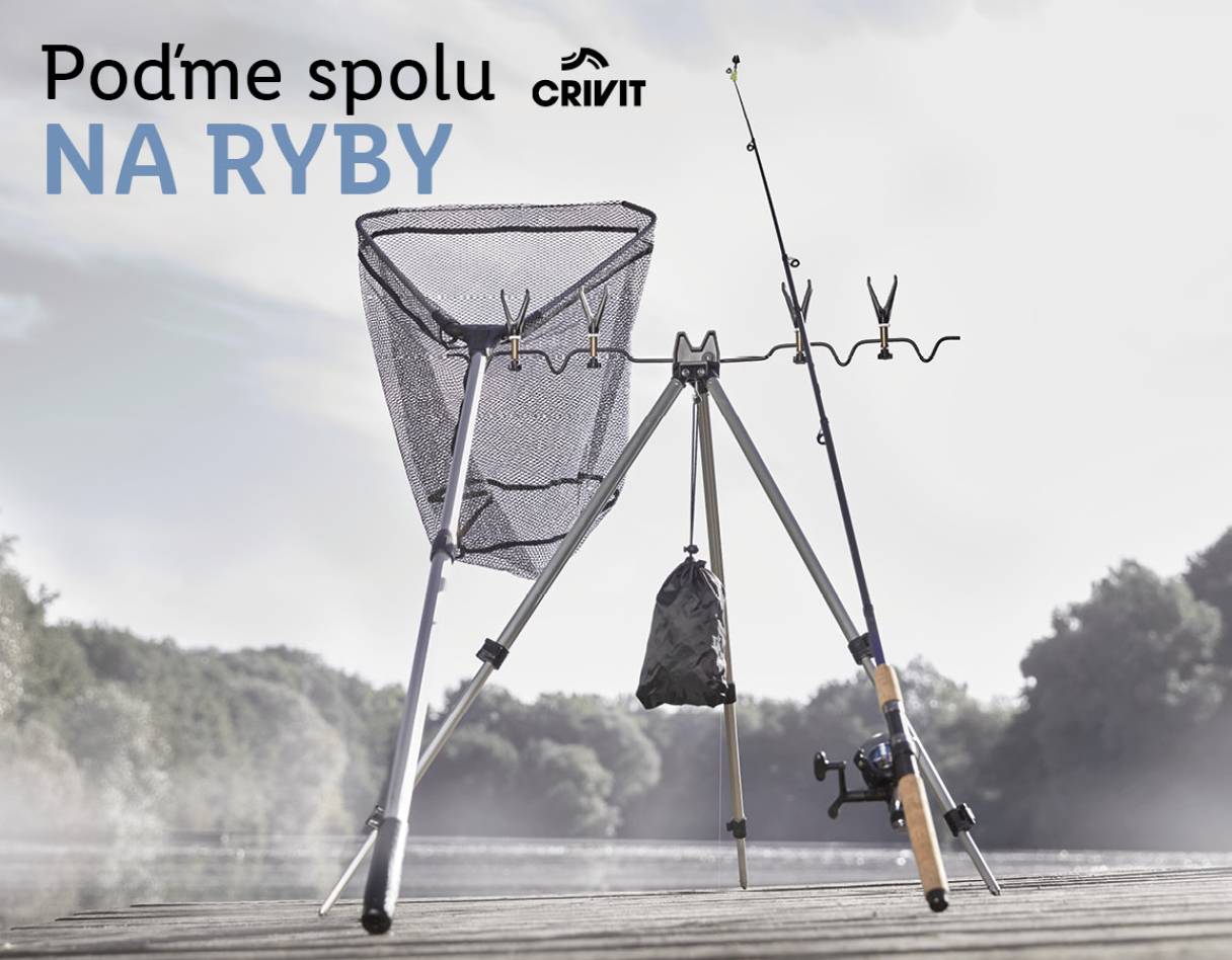 Ryby