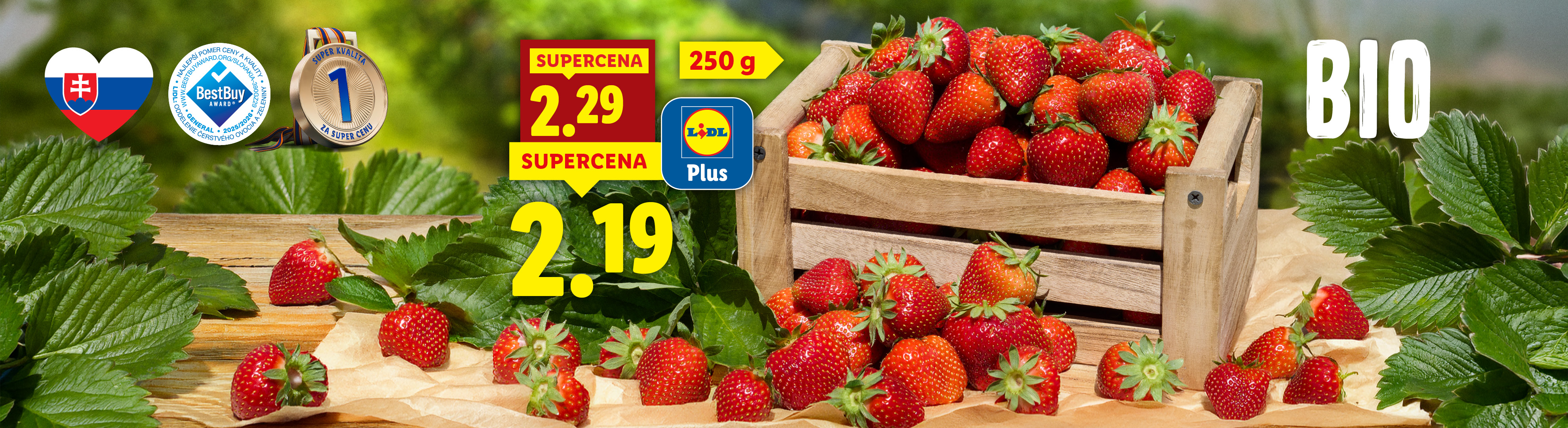 BIO Čerstvé jahody cena s Lidl Plus 2,19 za 250 g.