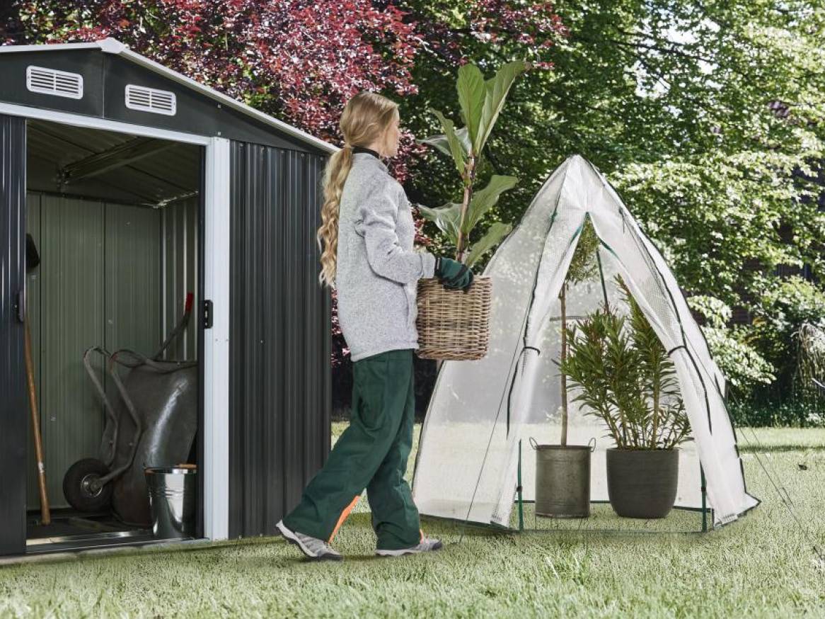Žena nesie rastlinu v košíku k malému skleníku vedľa záhradného domčeka.