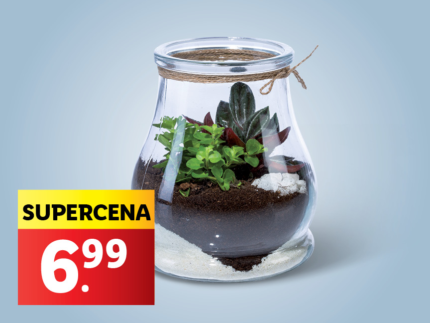 Sklenená nádoba s kvetmi za 6,99€.