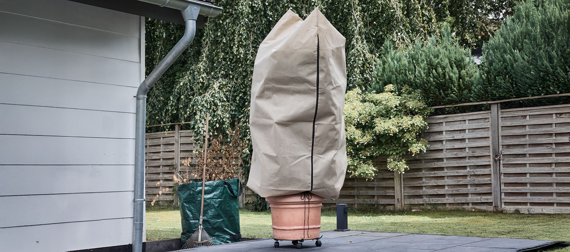 Črepníková rastlina so zimným ochranným obalom na terase vedľa domu.