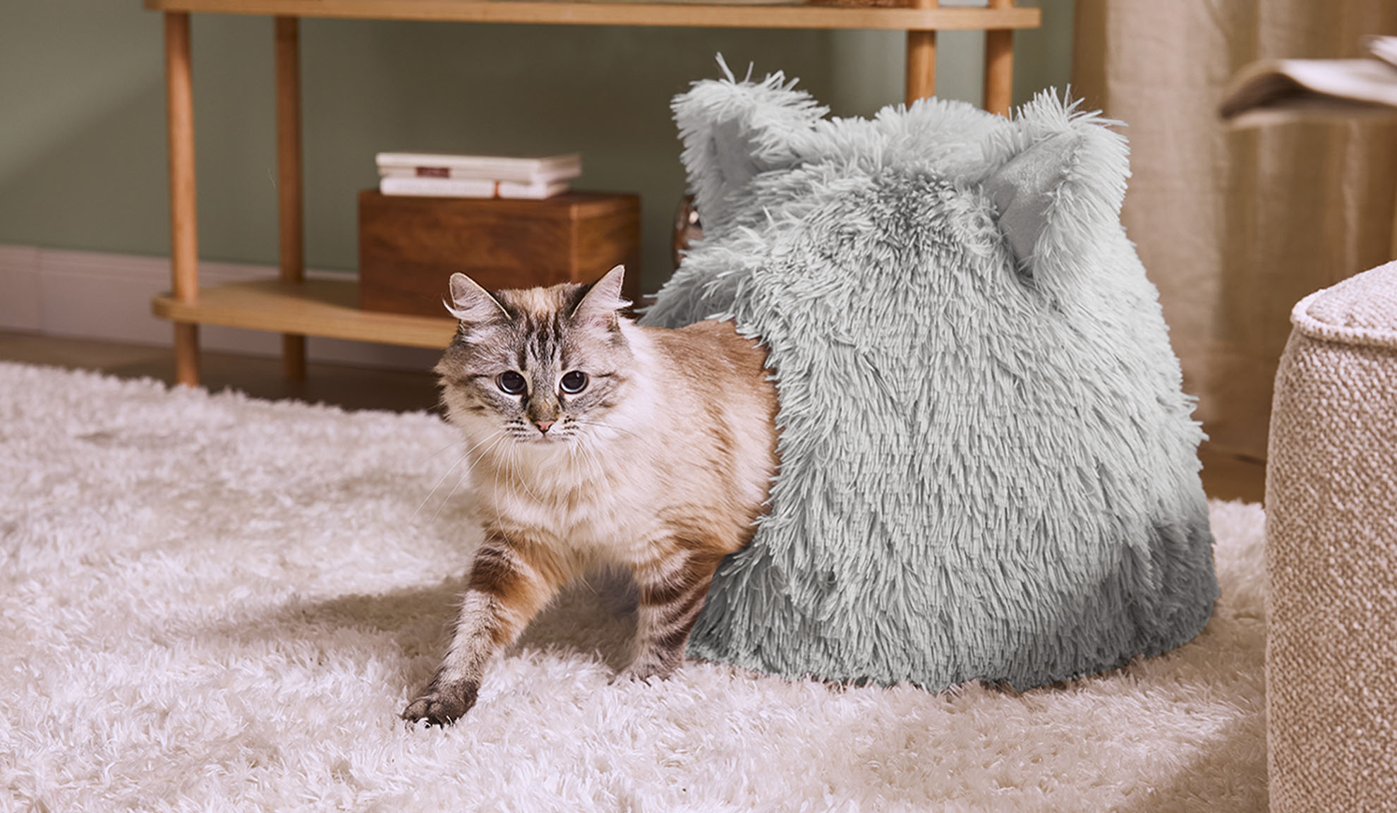 Mačka vychádza zo sivého chlpatého pelechu na bielom koberci.