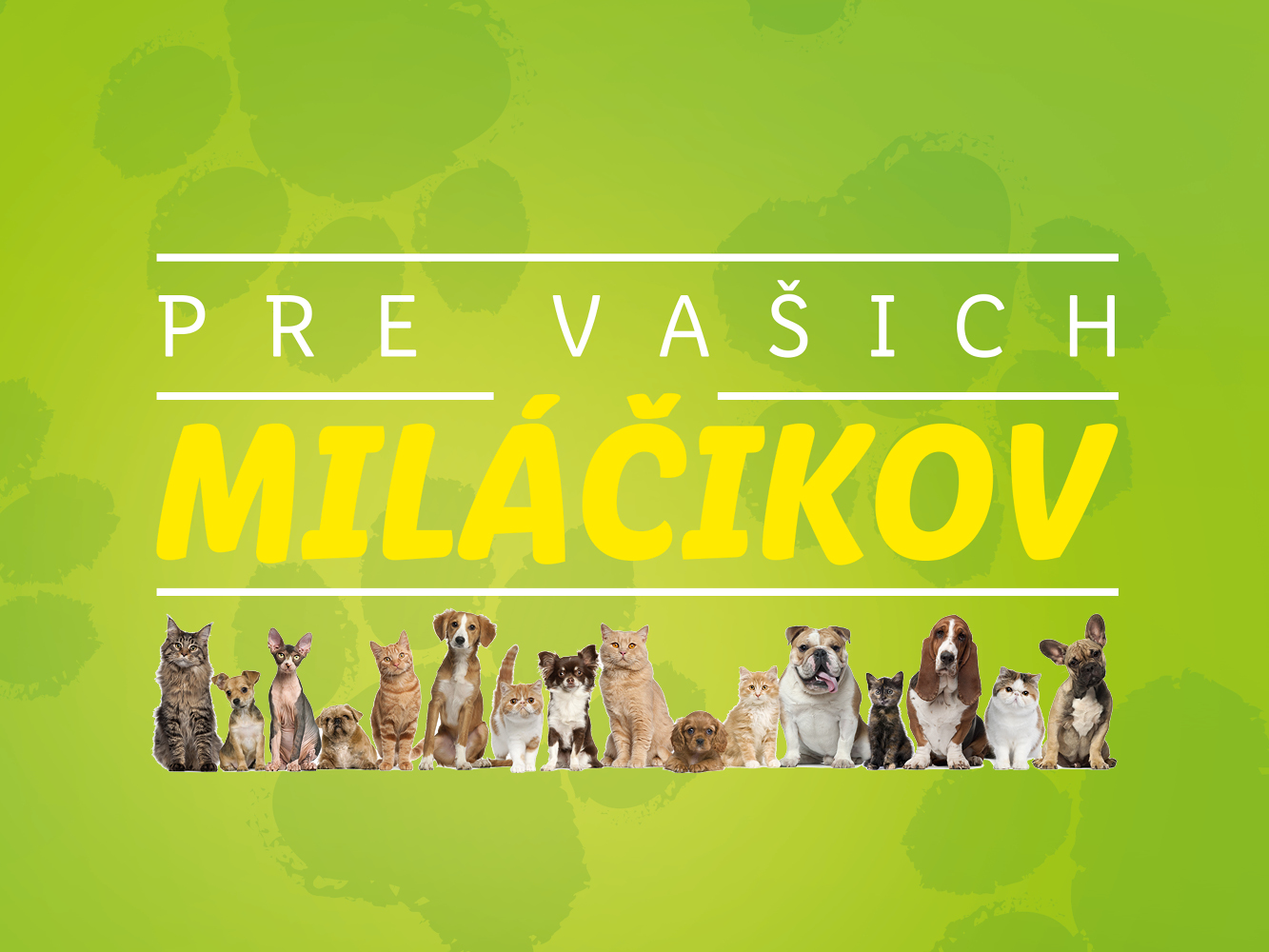 Krmivo