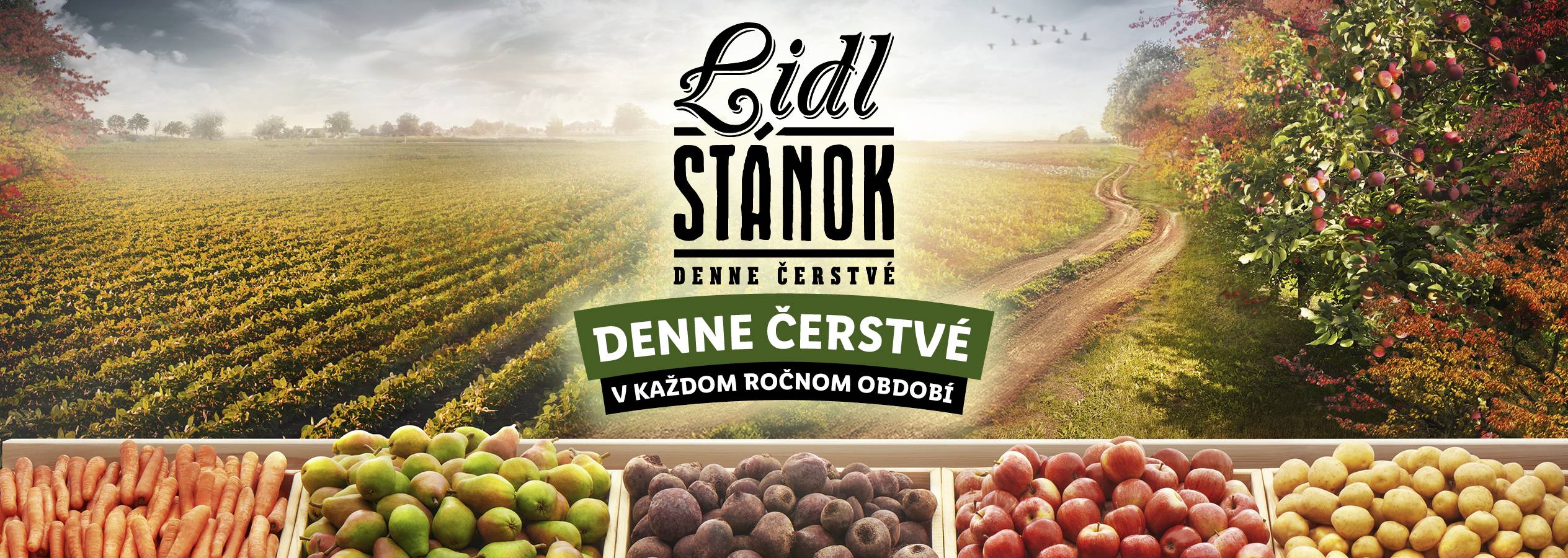 Lidl Stánok: Čerstvá zelenina a ovocie ako mrkva, hrušky, repa, jablká a zemiaky z poľa.