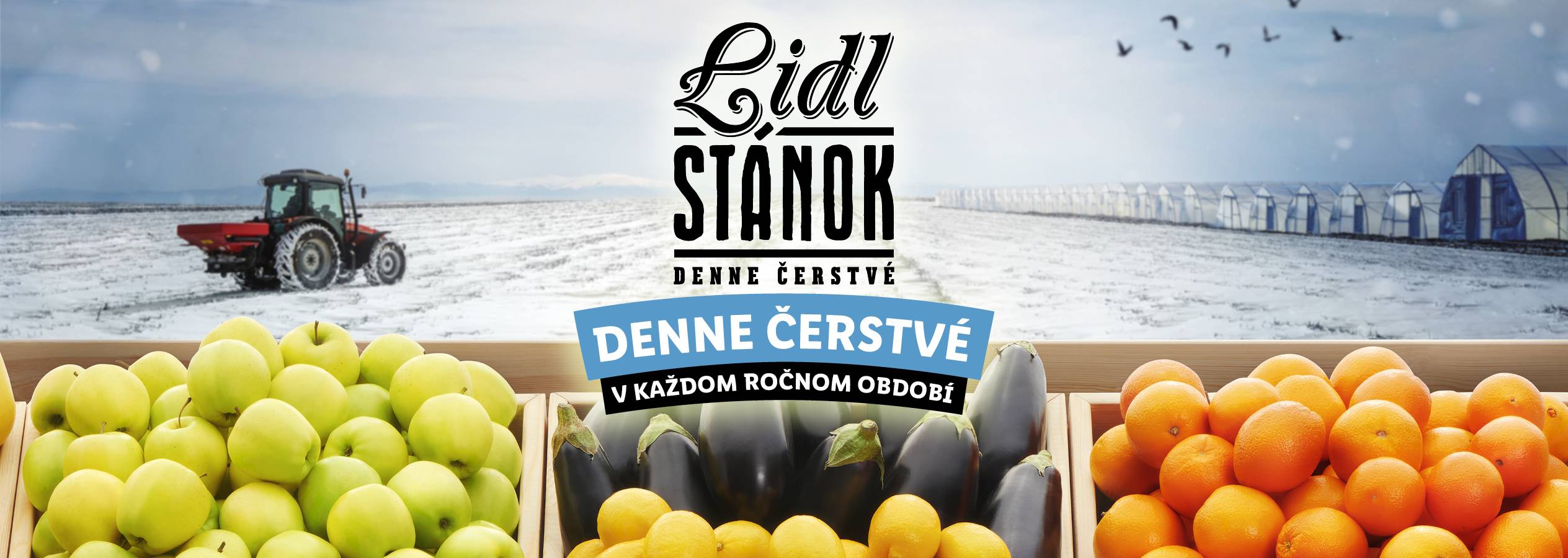 Lidl Stánok: Čerstvé ovocie a zelenina (jablká, baklažány, pomaranče) v zasneženej krajine s traktorom a skleníkmi.